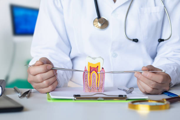 Best Cosmetic Emergency Dentistry in Luxemburg, WI